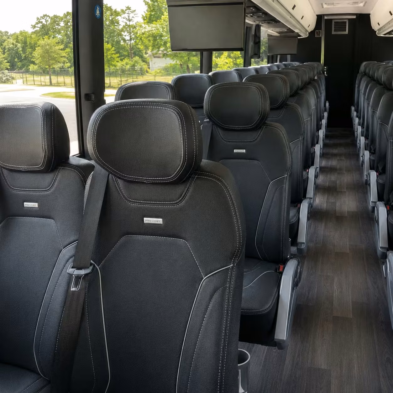 colorado springs prom homecoming transportation services